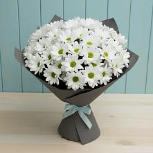 Букет цветов из:  Хризантемы в Оби