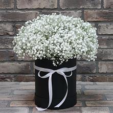 Цветочная композиция из Гипсофила в шляпной коробке в Оби