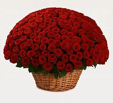 Премиум букет из: Розы в Оби